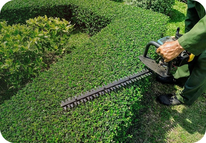 Service à la personne paysagiste